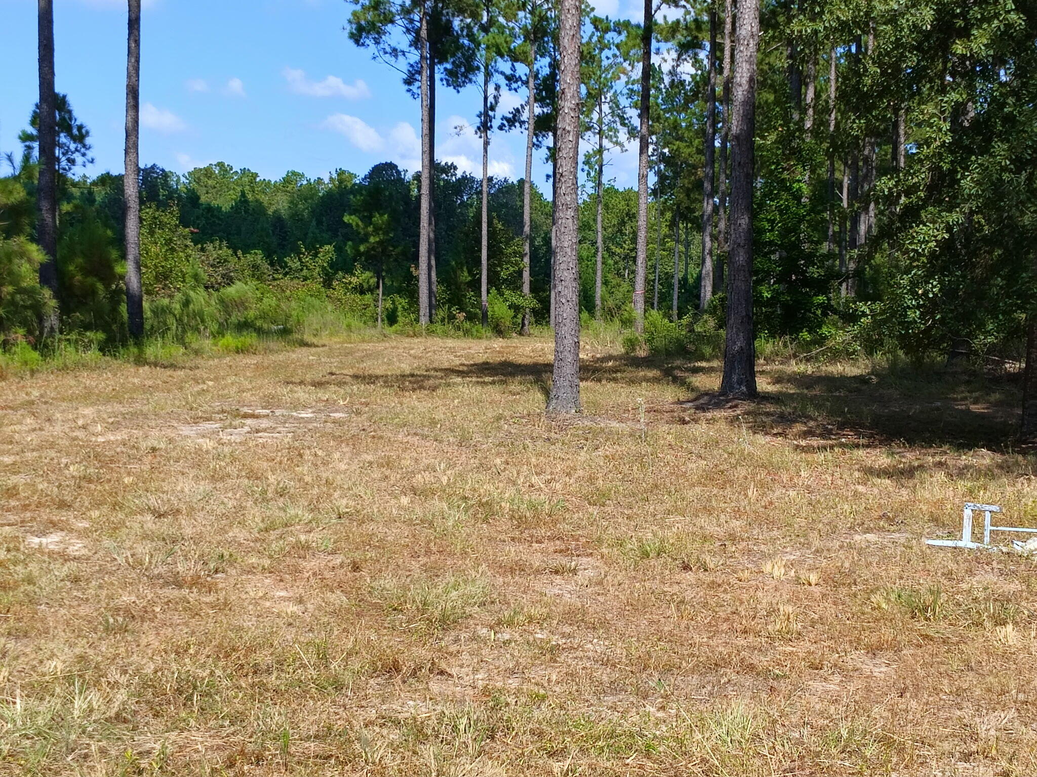 Lot 7 White Pond Road Williston, SC 29853 - Photo 12 of 14