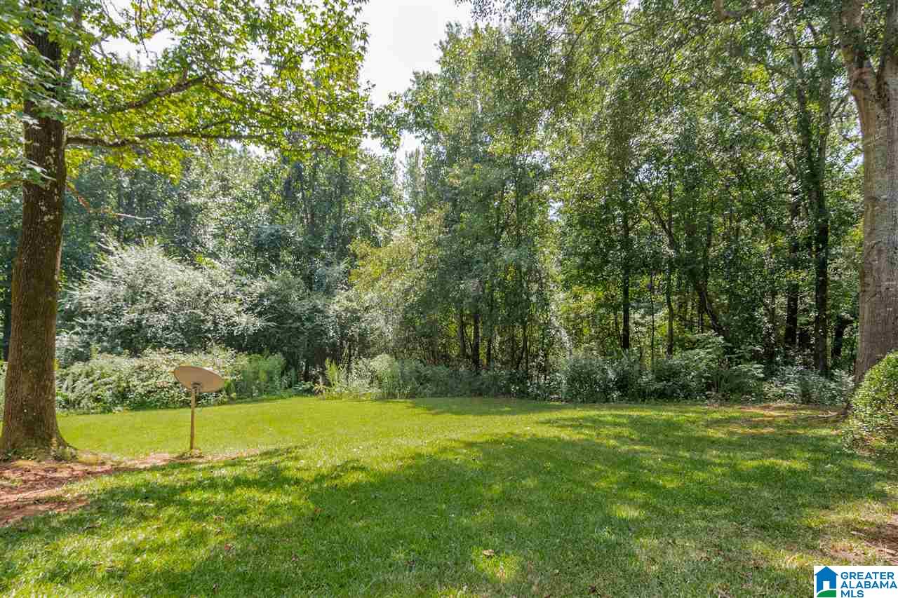 4511 Martin Wilson Road Trussville, AL 35173 - Photo 39 of 49