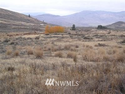 -tbd Roundup Road Oroville, WA 98844 - Photo 1 of 1 Gallery Image 1