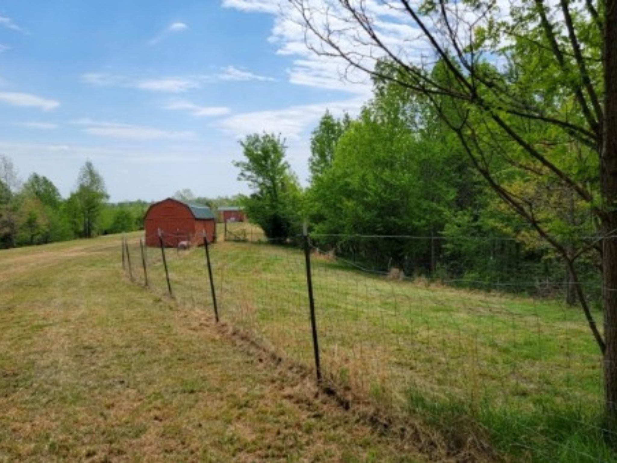 198 Forest Ridge Road Hohenwald, TN 38462 - Photo 15 of 33 Gallery Image 15