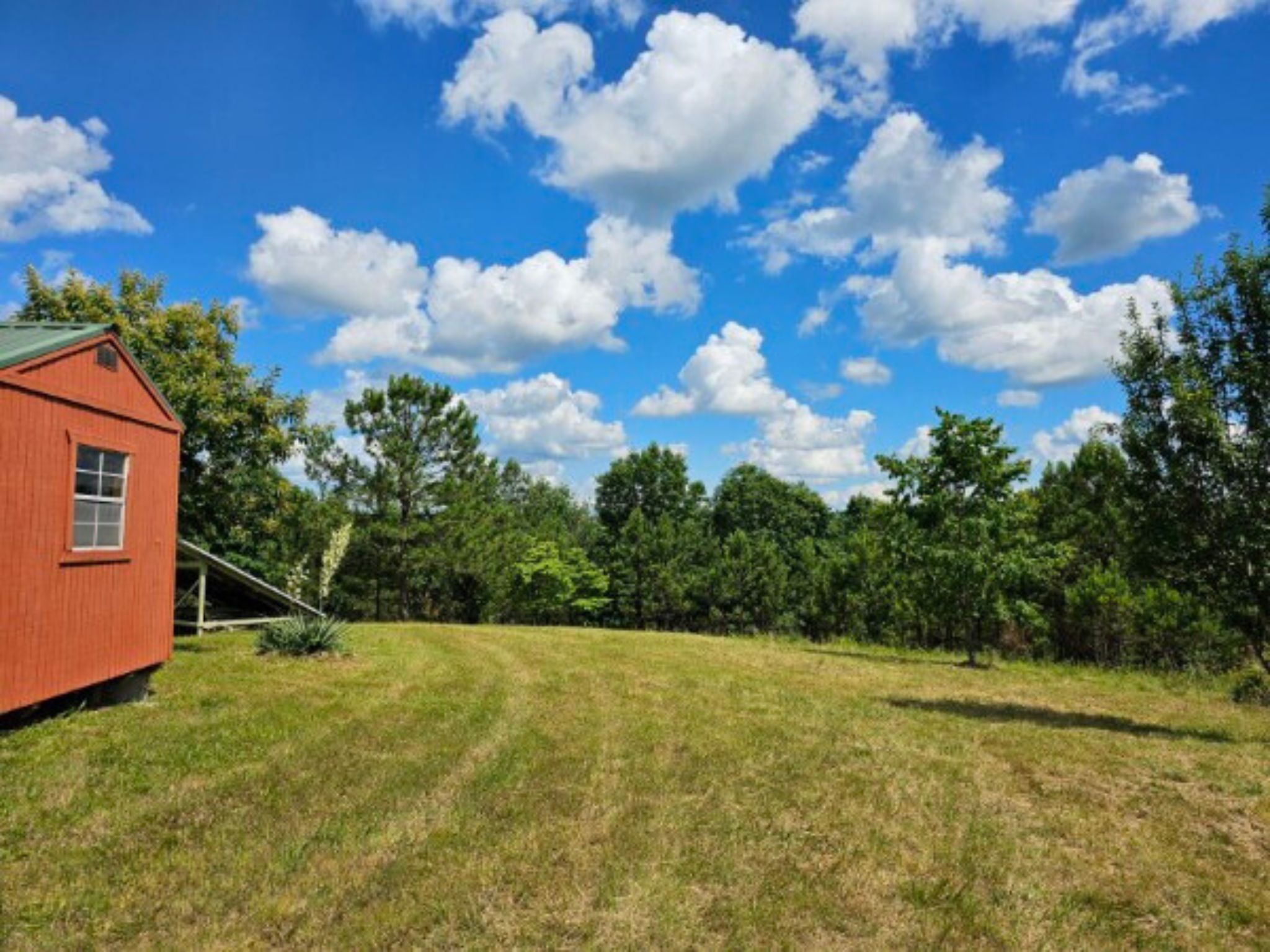 198 Forest Ridge Road Hohenwald, TN 38462 - Photo 21 of 33 Gallery Image 21