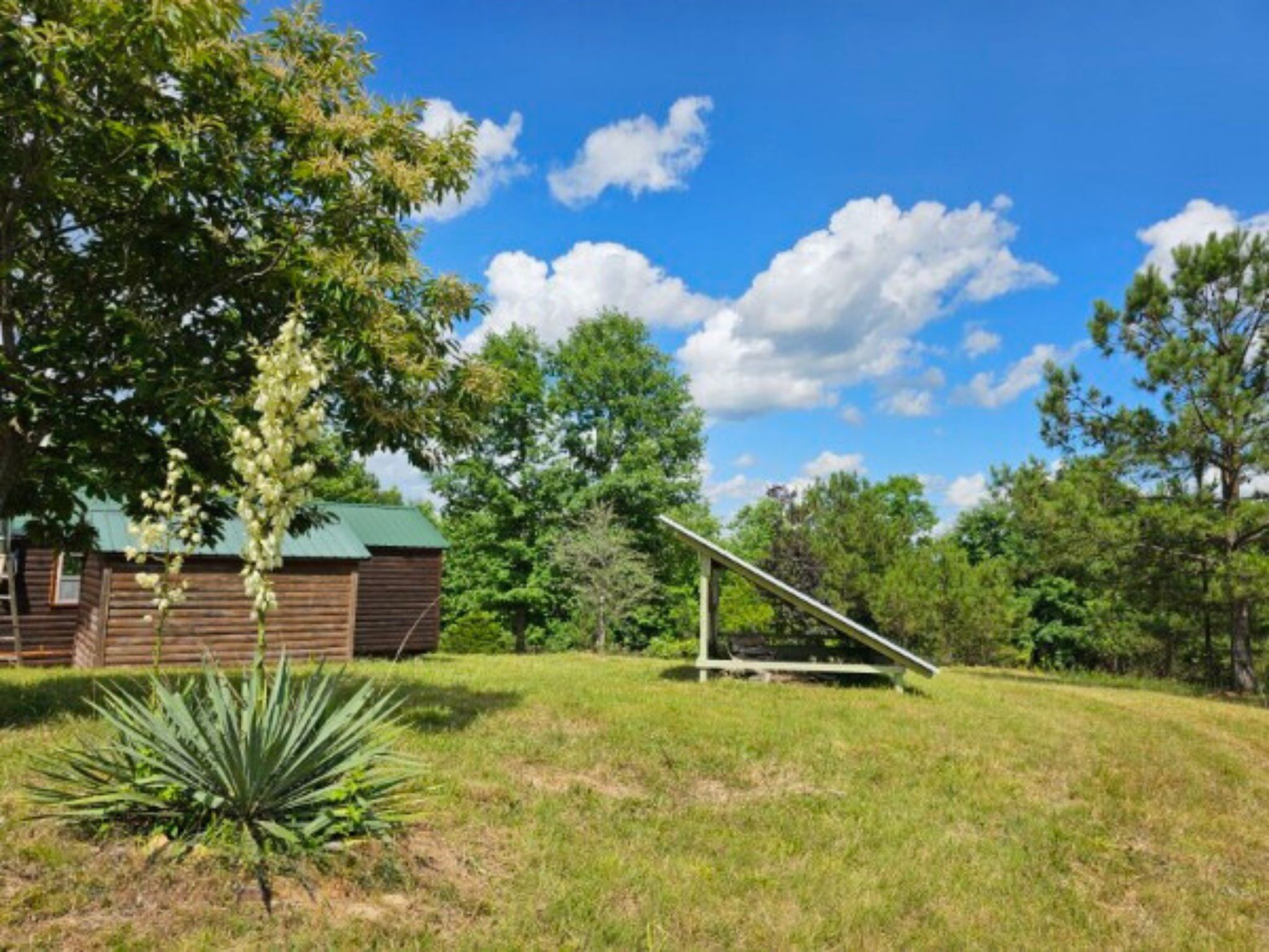 198 Forest Ridge Road Hohenwald, TN 38462 - Photo 6 of 33 Gallery Image 6