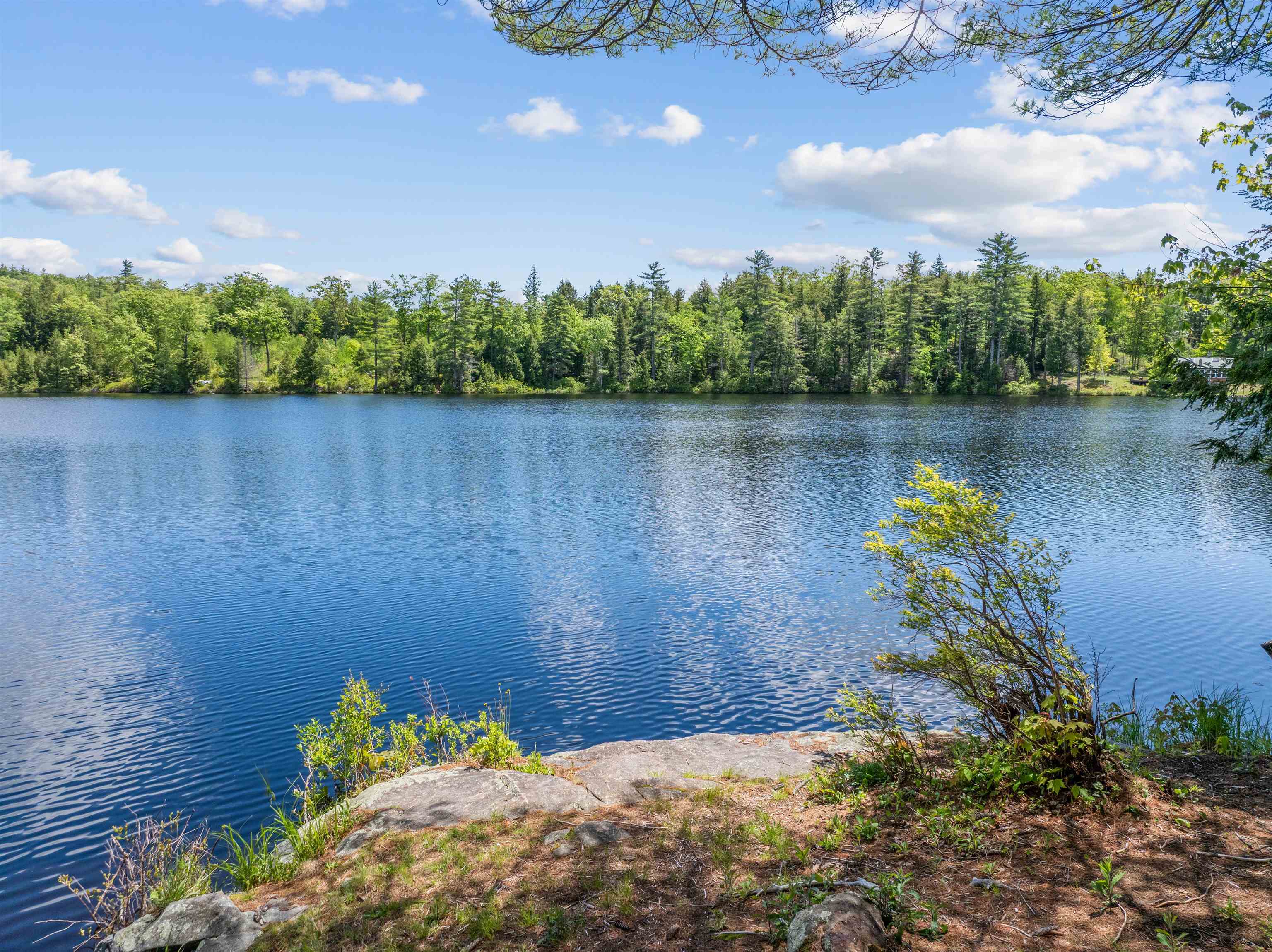 47 Forest Pond Road New Hampton, NH 03256 - Photo 37 of 60