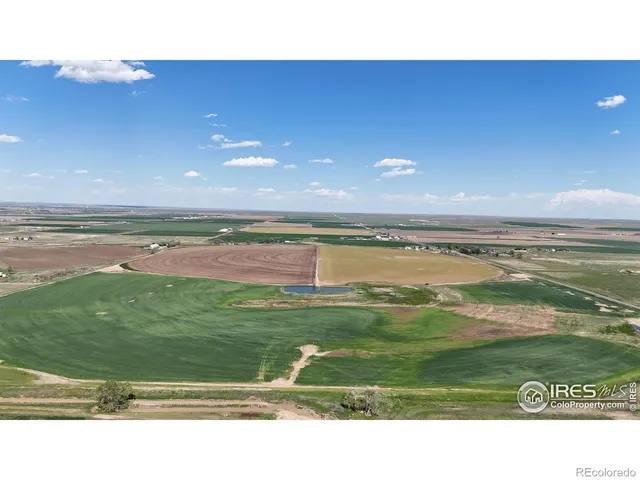 a black and white photo of a lake
