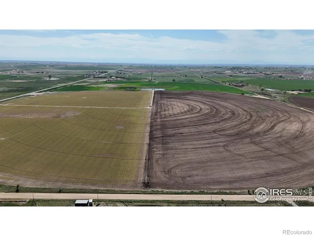 a black and white photo of a lake