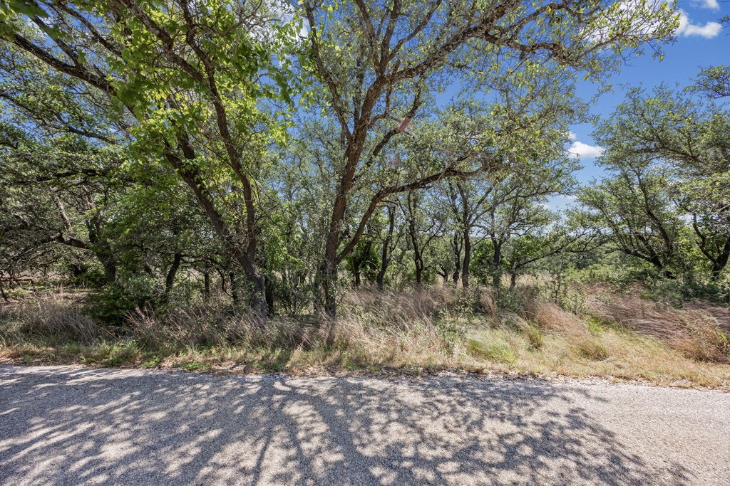 1364 North Walnut Springs Road, Unit 19 Johnson City, TX 78636 - Photo 19 of 51