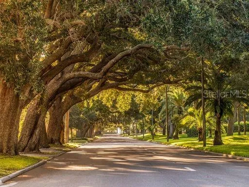 a view of street along with trees