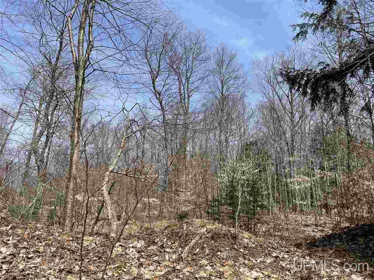 0 Old Seney Road Seney, MI 49883 - Photo 31 of 31