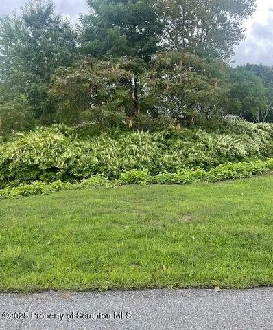 a view of a garden with a bench