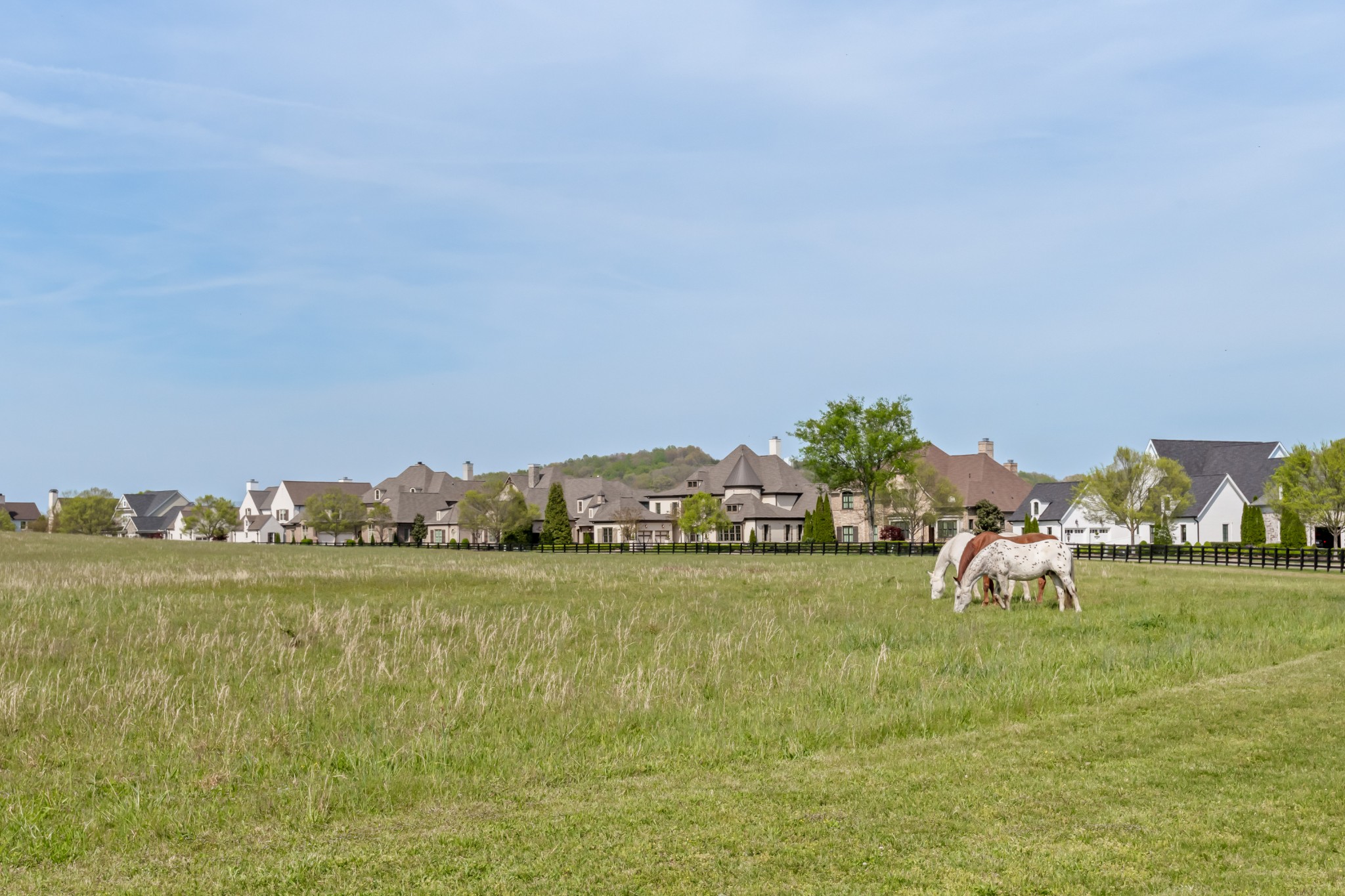 5053 Native Pony Trail College Grove, TN 37046 - Photo 52 of 66 a view of a lake with houses in the back