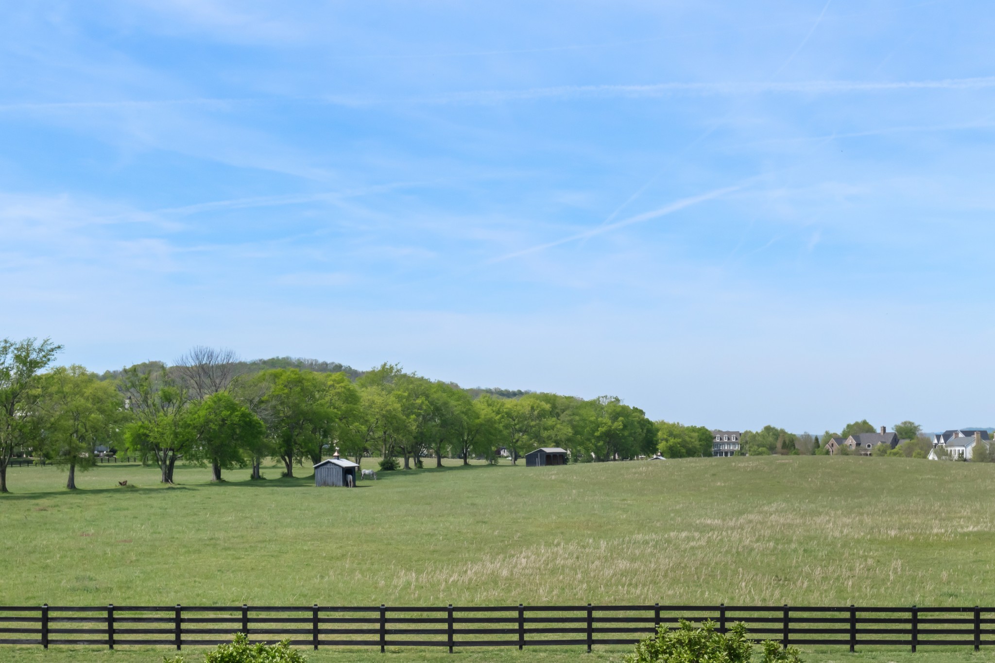5053 Native Pony Trail College Grove, TN 37046 - Photo 53 of 66 a view of a field with an ocean and trees