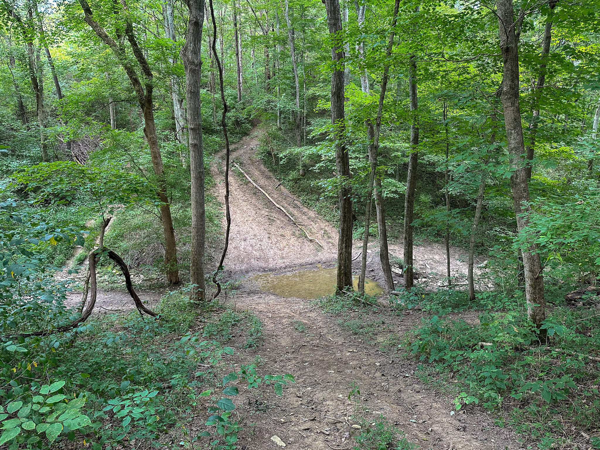 0 Goose Creek Road Carlisle, KY 40311 - Photo 11 of 24 IMG_4414