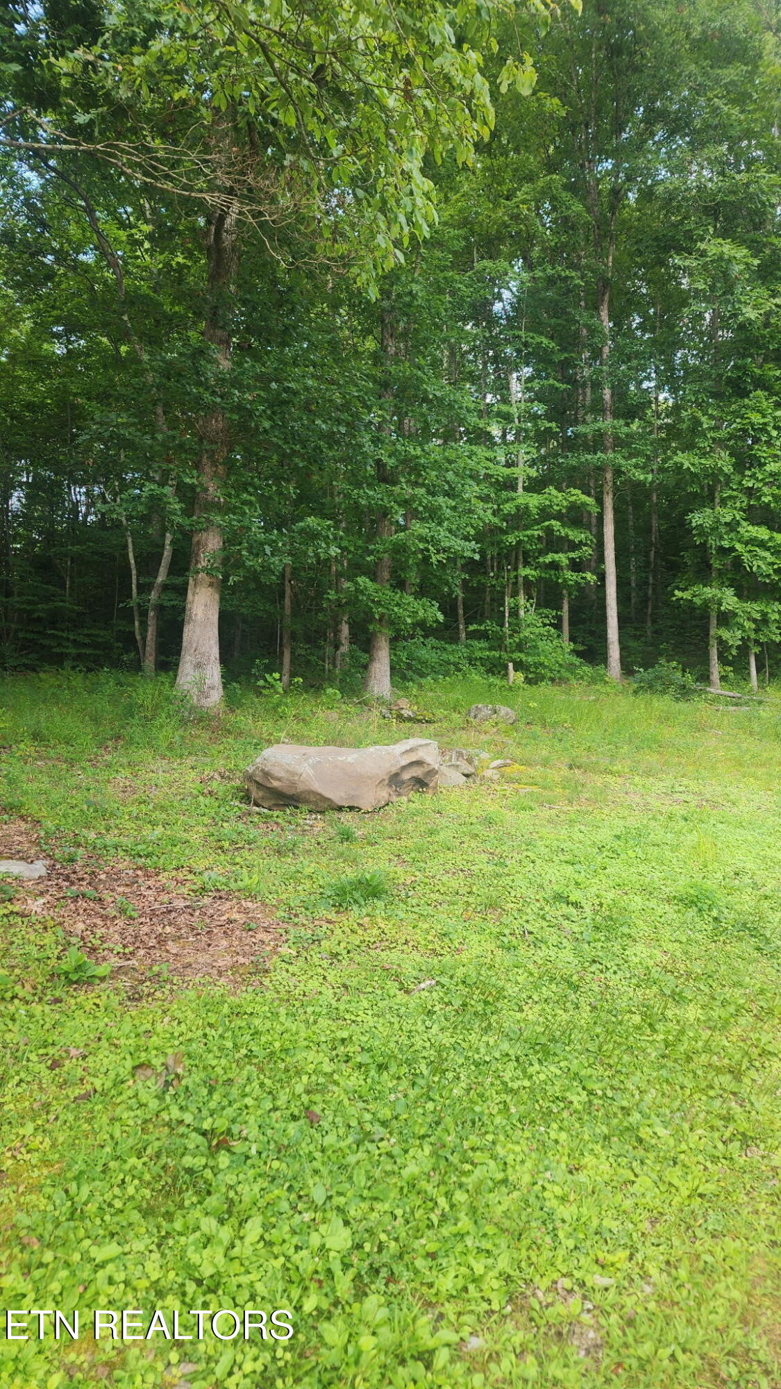 180 Grady Langley Road Lancing, TN 37770 - Photo 12 of 17 1000028147
