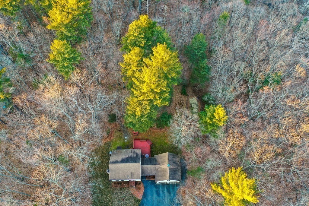 1920 Maple Street Dighton, MA 02764 - Photo 7 of 42 a view of a garden with plants
