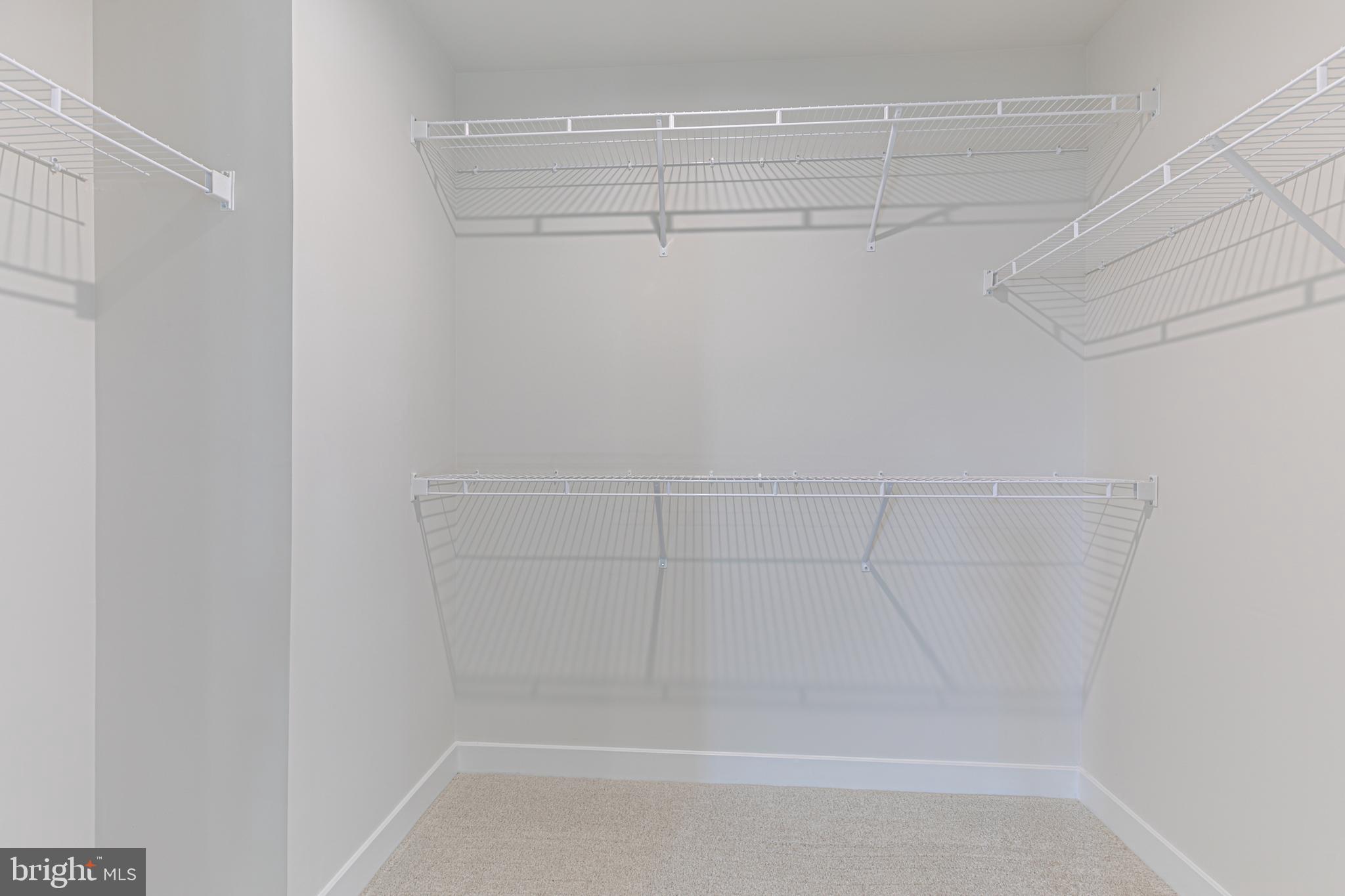 90 Tilapia Road Inwood, WV 25428 - Photo 24 of 34 Large Primary Bedroom Walk-in Closet