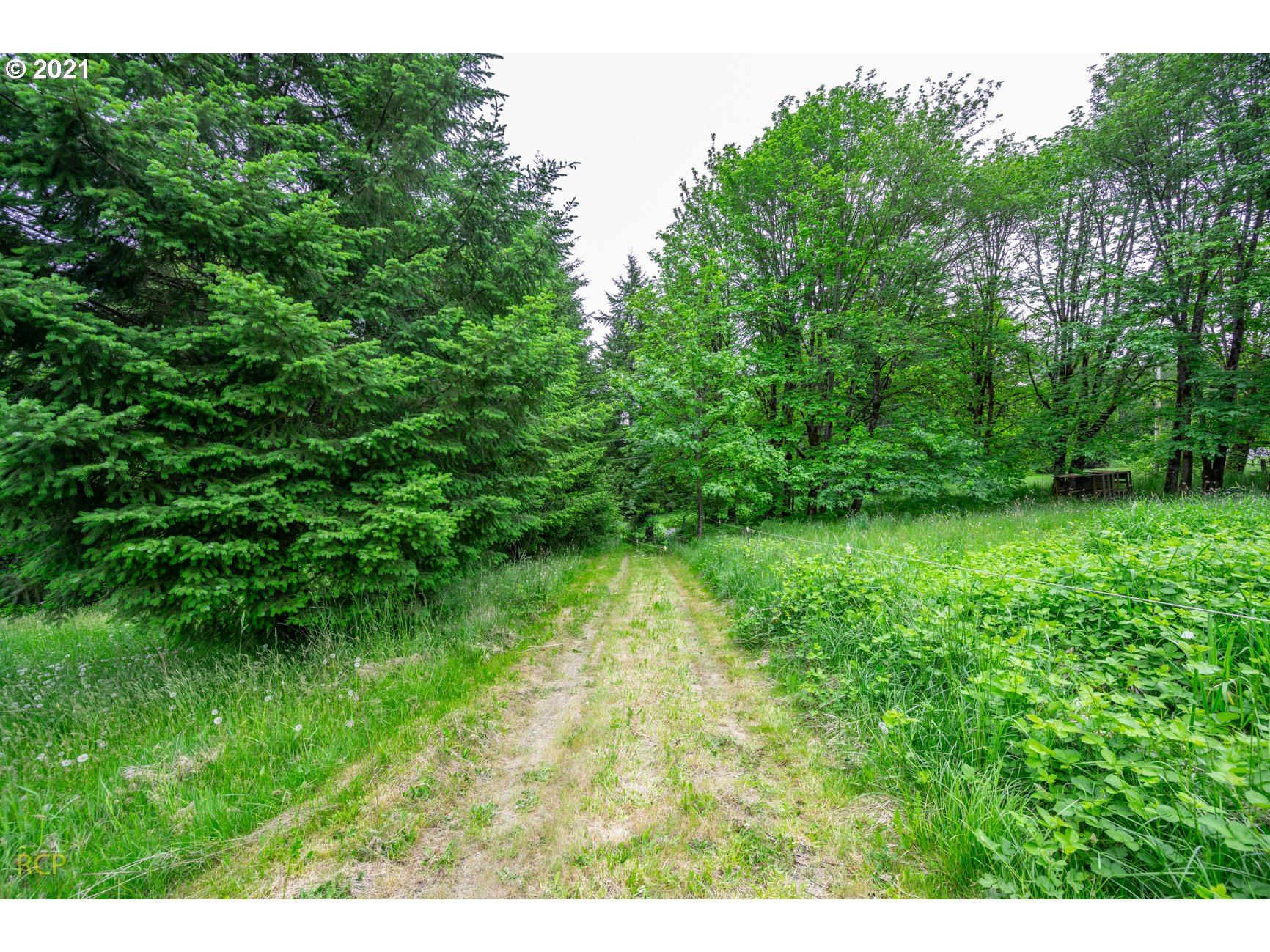 64731 McDermott Road Deer Island, OR 97054 - Photo 13 of 26 Gallery Image 13
