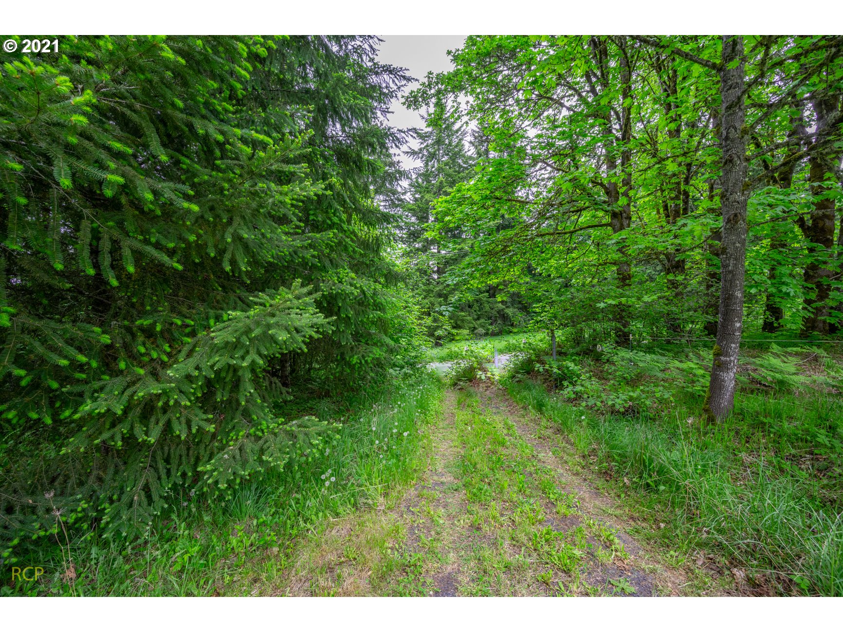 64731 McDermott Road Deer Island, OR 97054 - Photo 5 of 26 Gallery Image 5