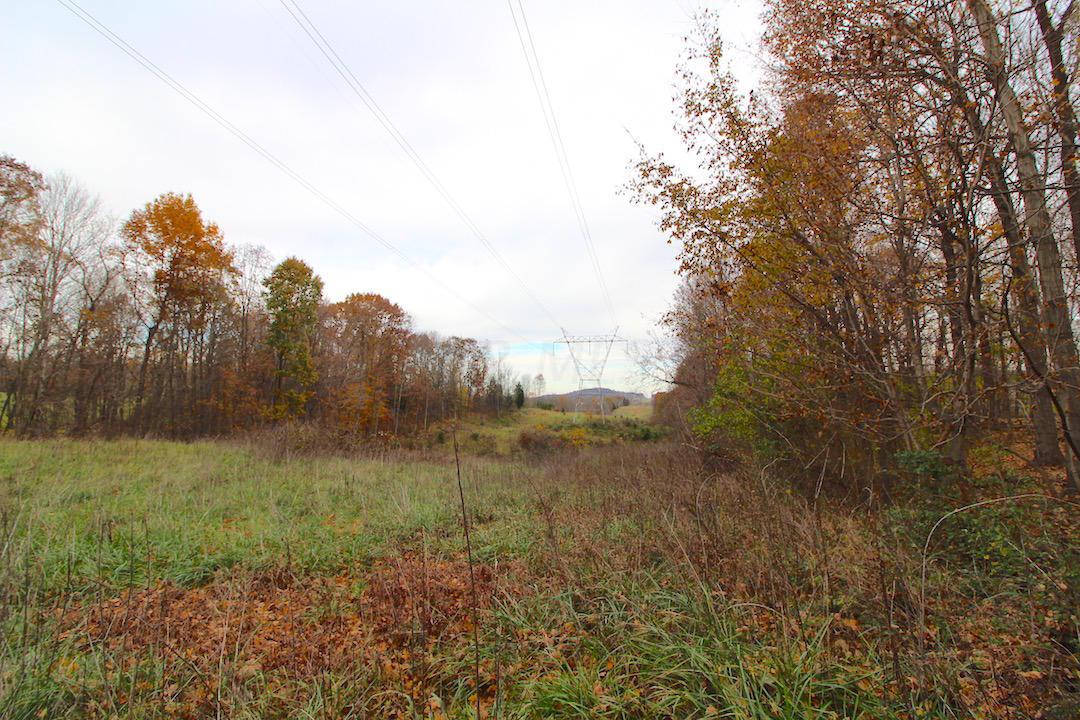 276 Edgington Road South Salem, OH 45681 - Photo 35 of 57