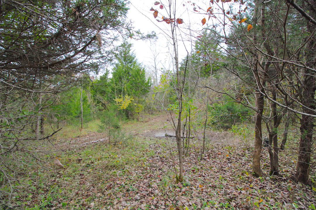 276 Edgington Road South Salem, OH 45681 - Photo 43 of 57