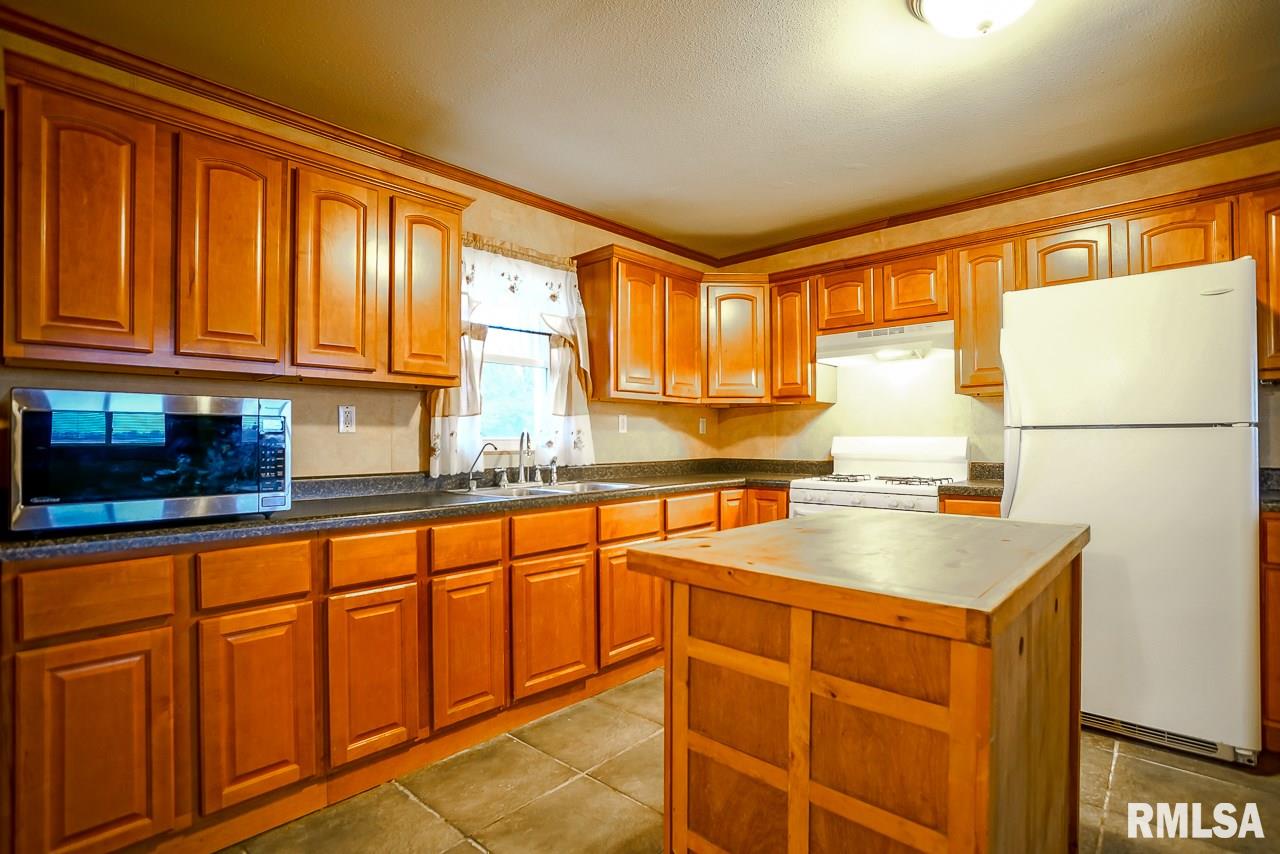 7979 Morris Mill Road Delavan, IL 61734 - Photo 8 of 50