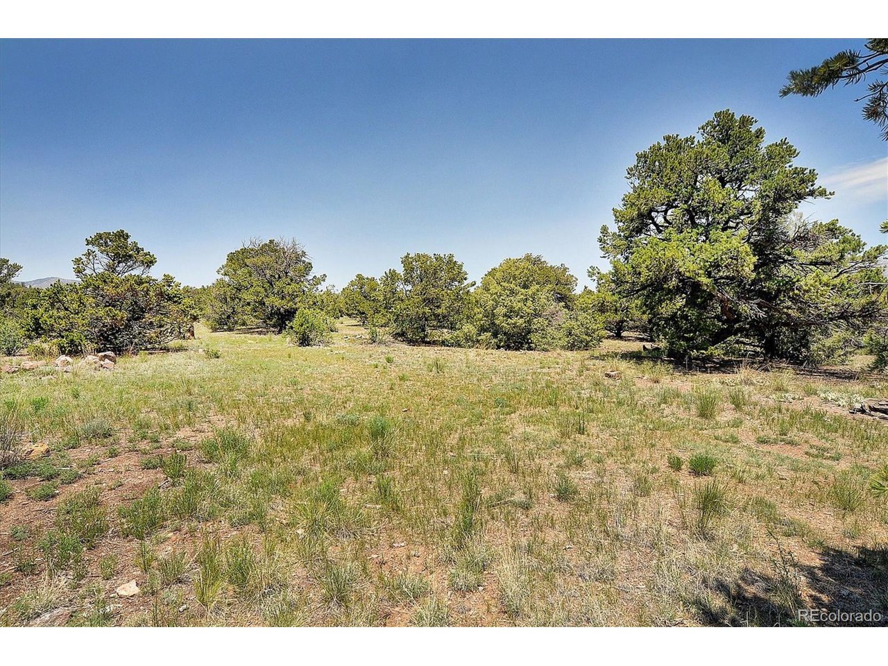 53091 County Rd LL56 Villa Grove, CO 81155 - Photo 27 of 33 38 acre parcel is mostly treed with great areas for camping and exploring
