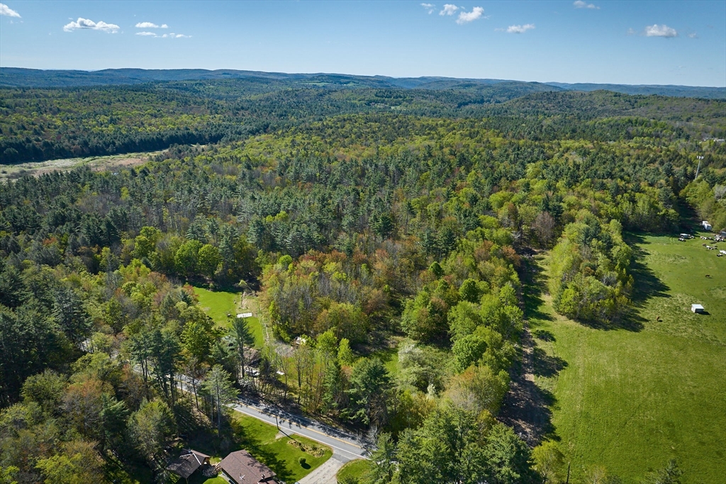 0 Radiker Road Worthington, MA 01098 - Photo 8 of 18 a view of a green field with lots of bushes
