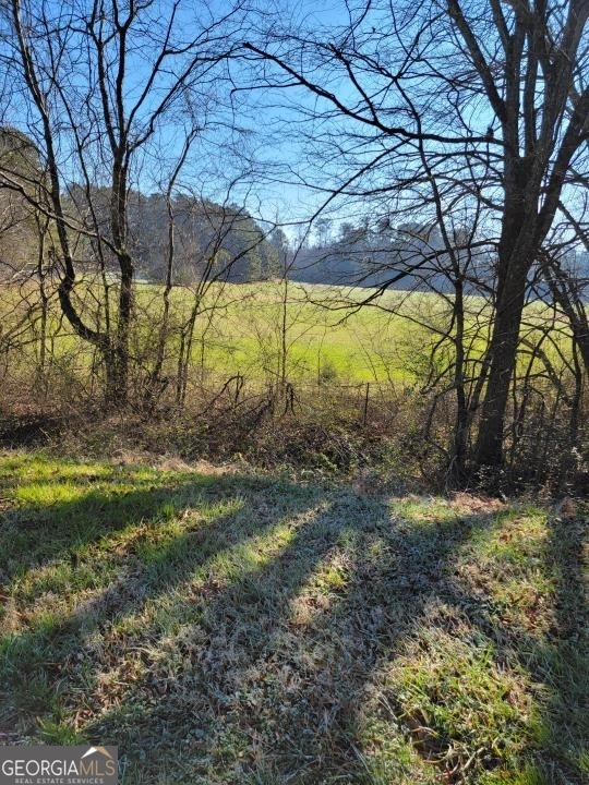 0 Mansfield Road Northeast White, GA 30184 - Photo 21 of 22