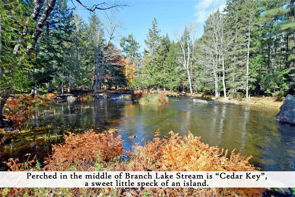 113 Red Bridge Road Ellsworth, ME 04605 - Photo 9 of 29 Photo