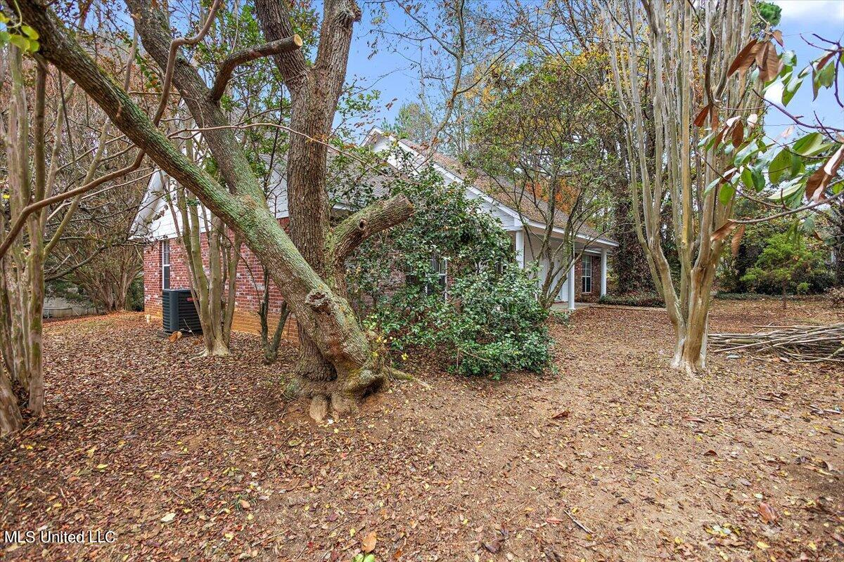 186 Charlie White Road Pelahatchie, MS 39145 - Photo 2 of 28 02-HTP29494