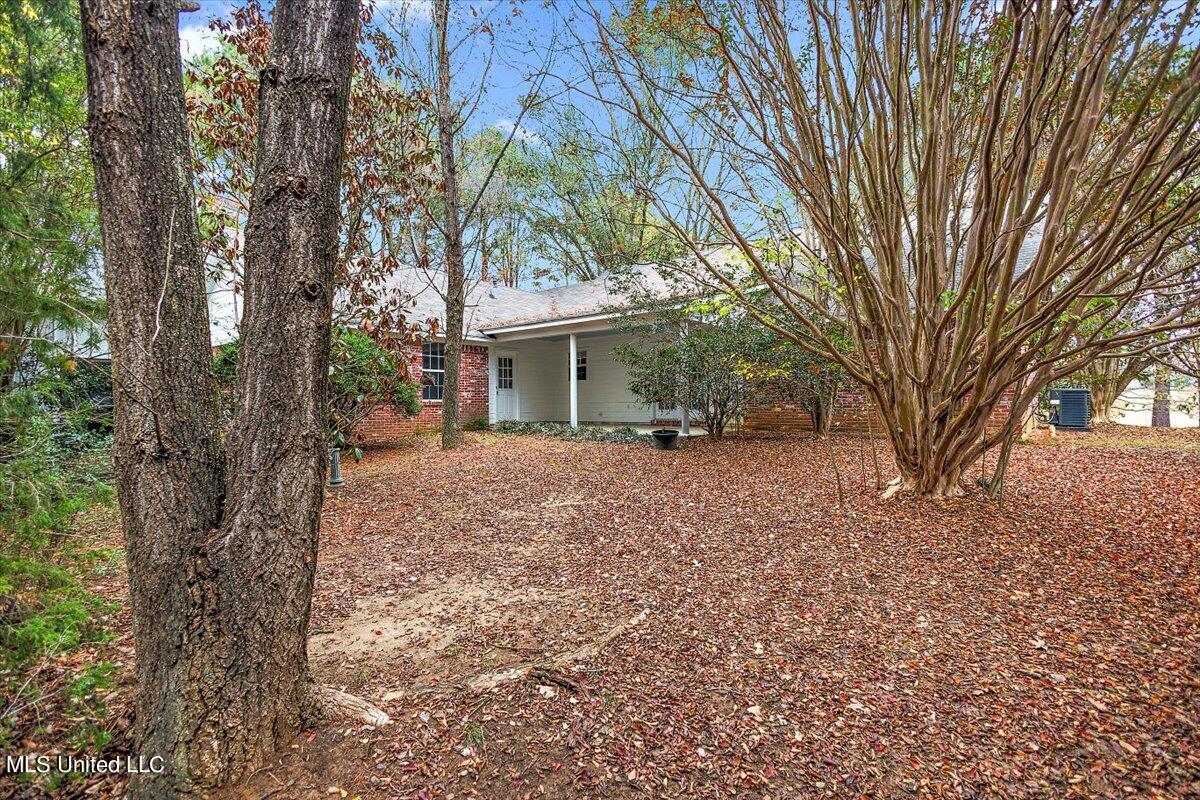 186 Charlie White Road Pelahatchie, MS 39145 - Photo 24 of 28 24-HTP29569