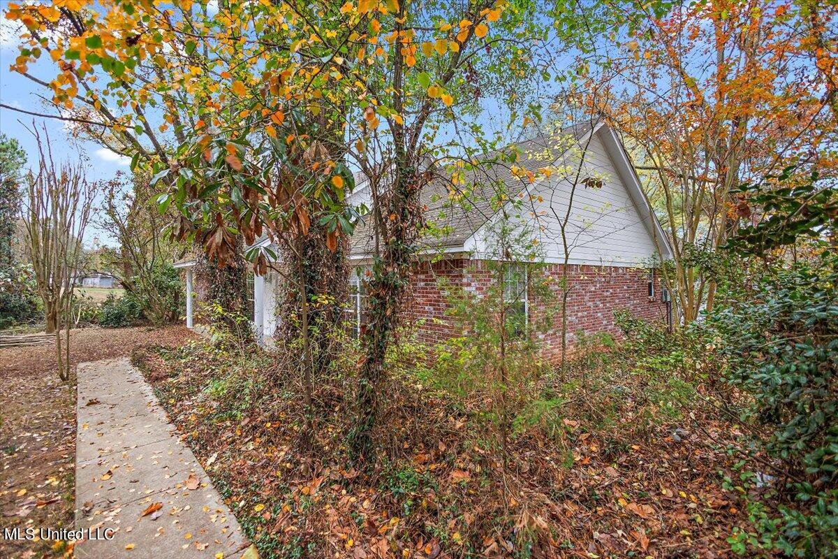 186 Charlie White Road Pelahatchie, MS 39145 - Photo 3 of 28 03-HTP29497