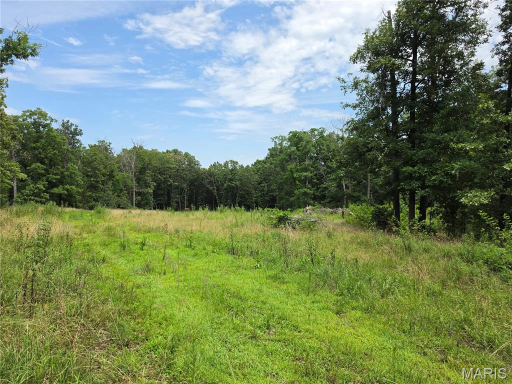 23675 Grandview Road Lebanon, MO 65536 - Photo 14 of 16 Gallery Image 14