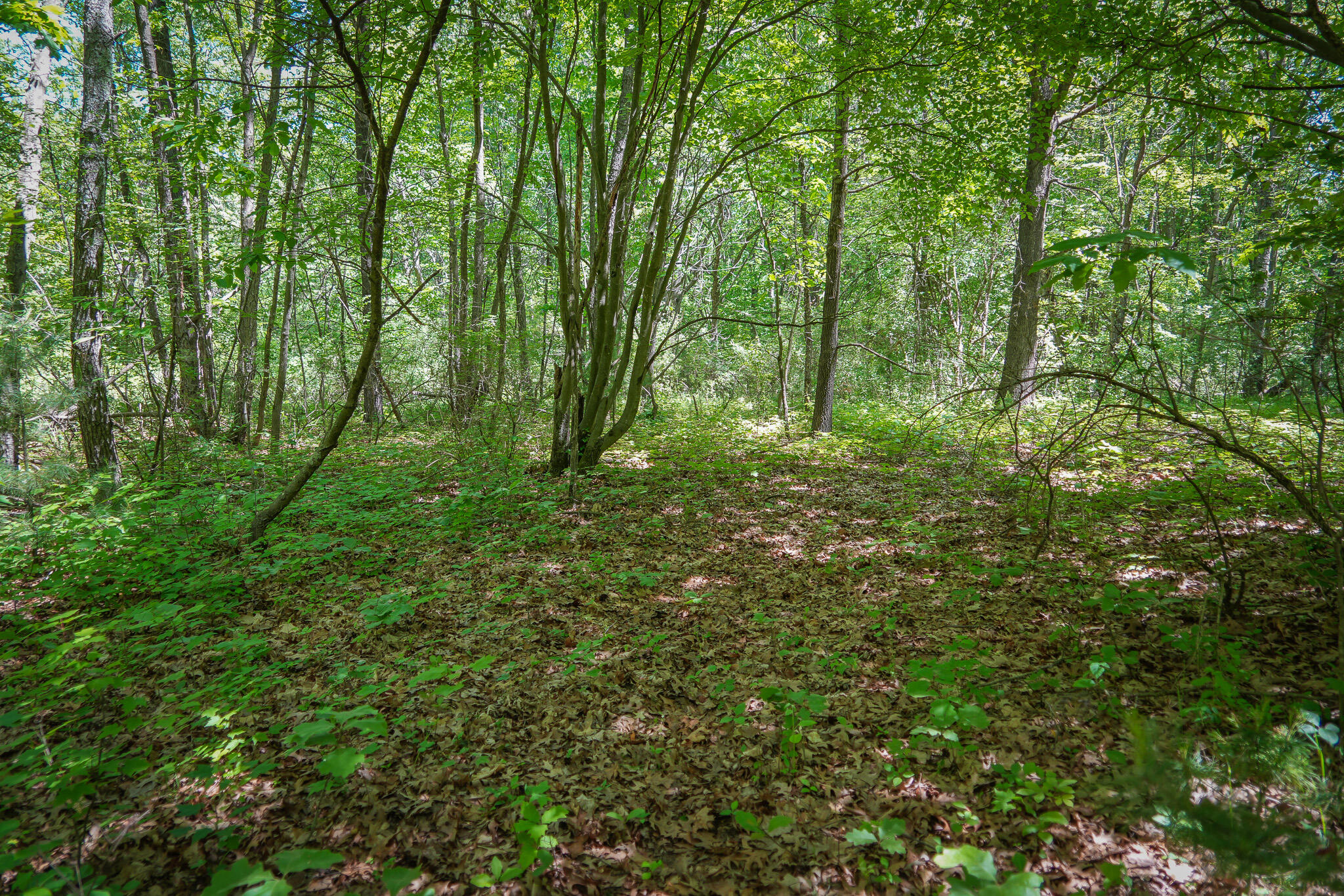 14308 Church Road Howard City, MI 49329 - Photo 23 of 52 DSC00191