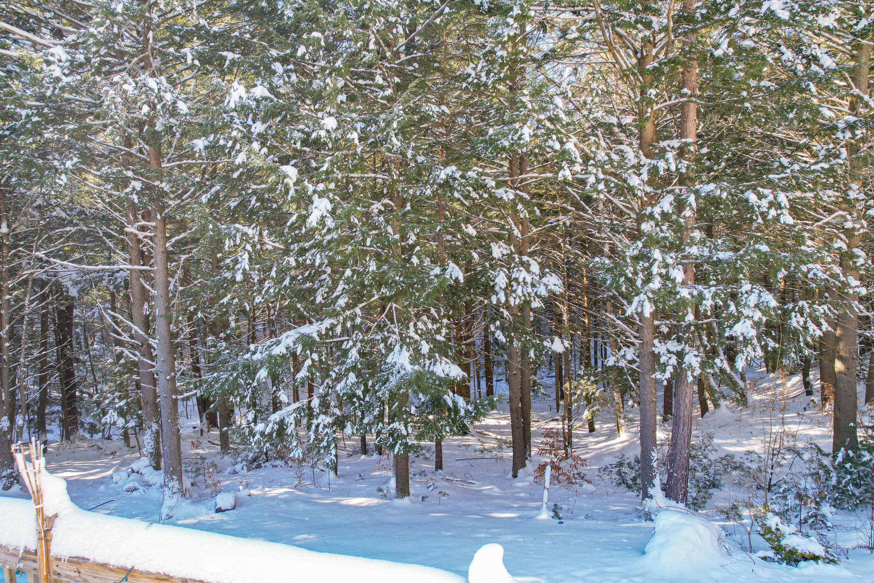 249 Richmond Road Litchfield, ME 04350 - Photo 26 of 79 249RichmondRd.Litchfield-27