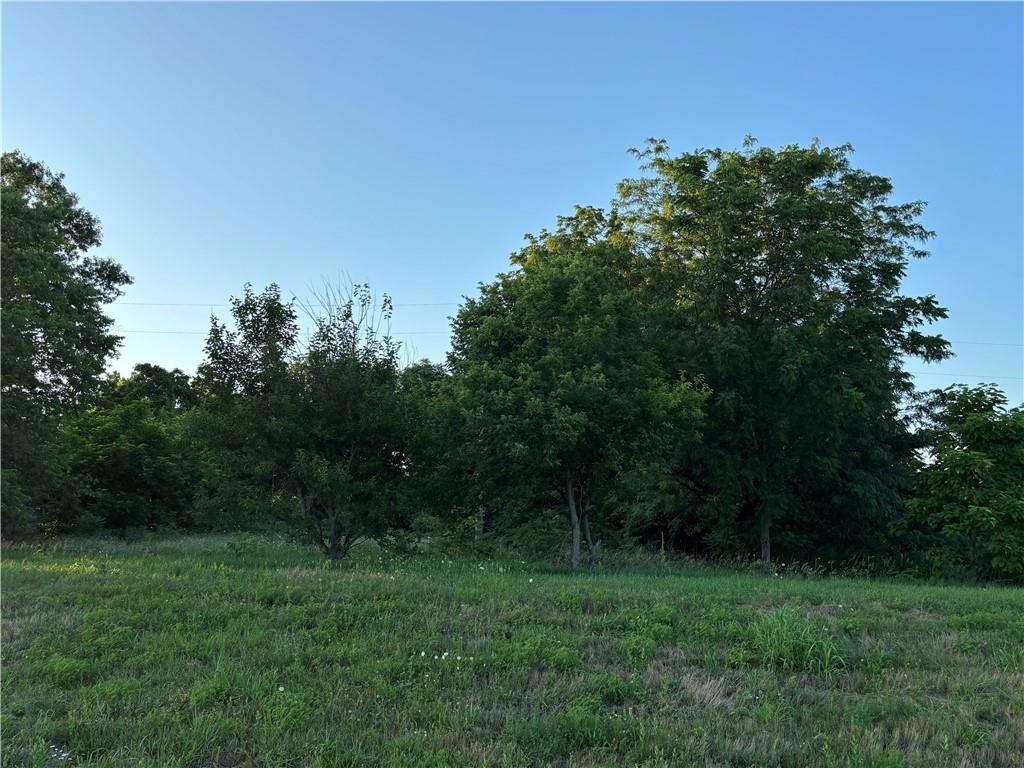 27865 New Lancaster Road Louisburg, KS 66053 - Photo 4 of 13