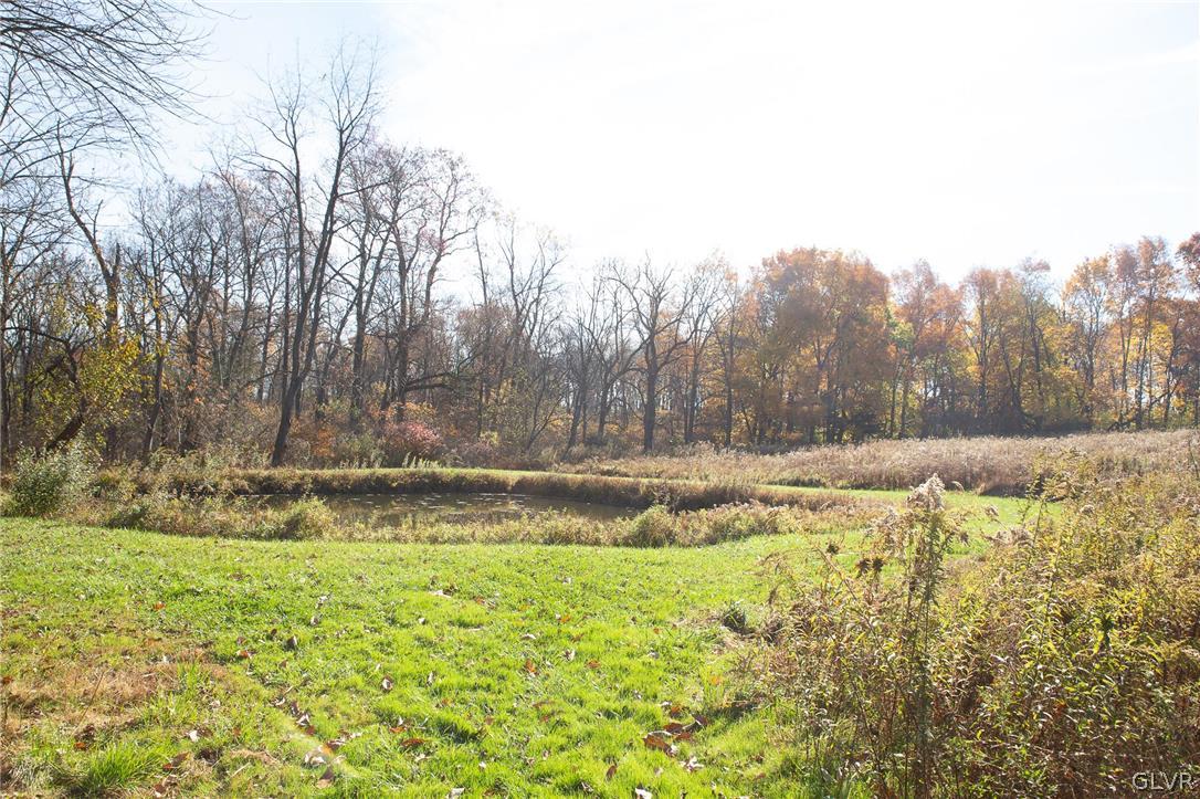 1909 Blue Barn Road Orefield, PA 18069 - Photo 35 of 39 a view of a yard with large trees
