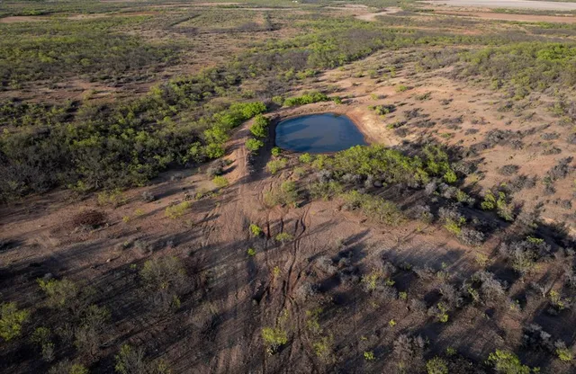 a view of a dry yard with wooden floor