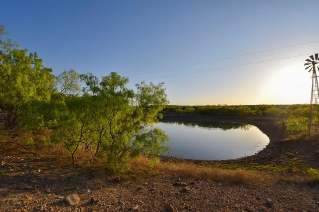 a view of a lake from a yard