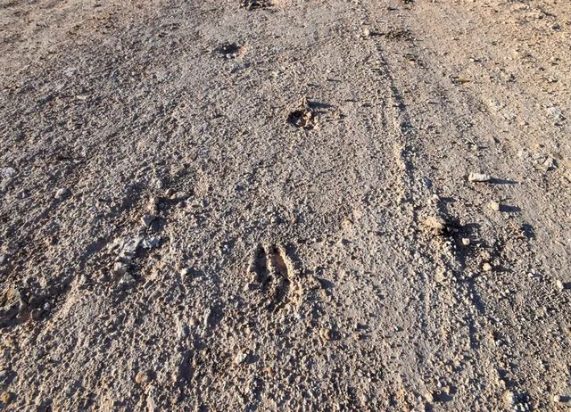 $2,800,000 | 0 Cr 340 Lohn Tx 76852, Lohn, TX 76852