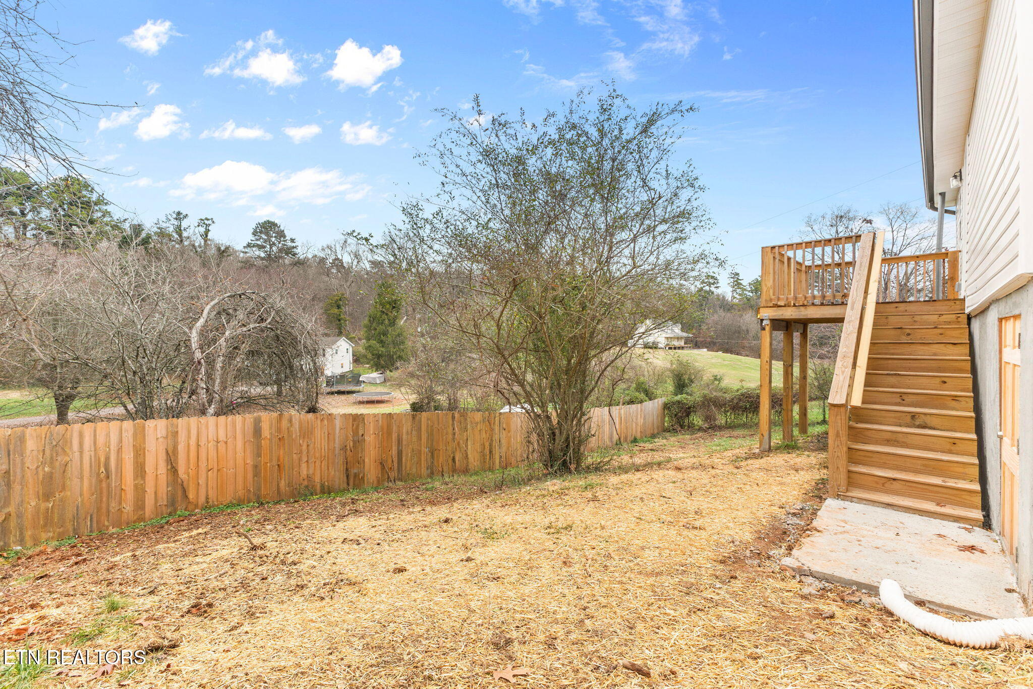 1633 Wilson Road Knoxville, TN 37912 - Photo 23 of 25 Backyard