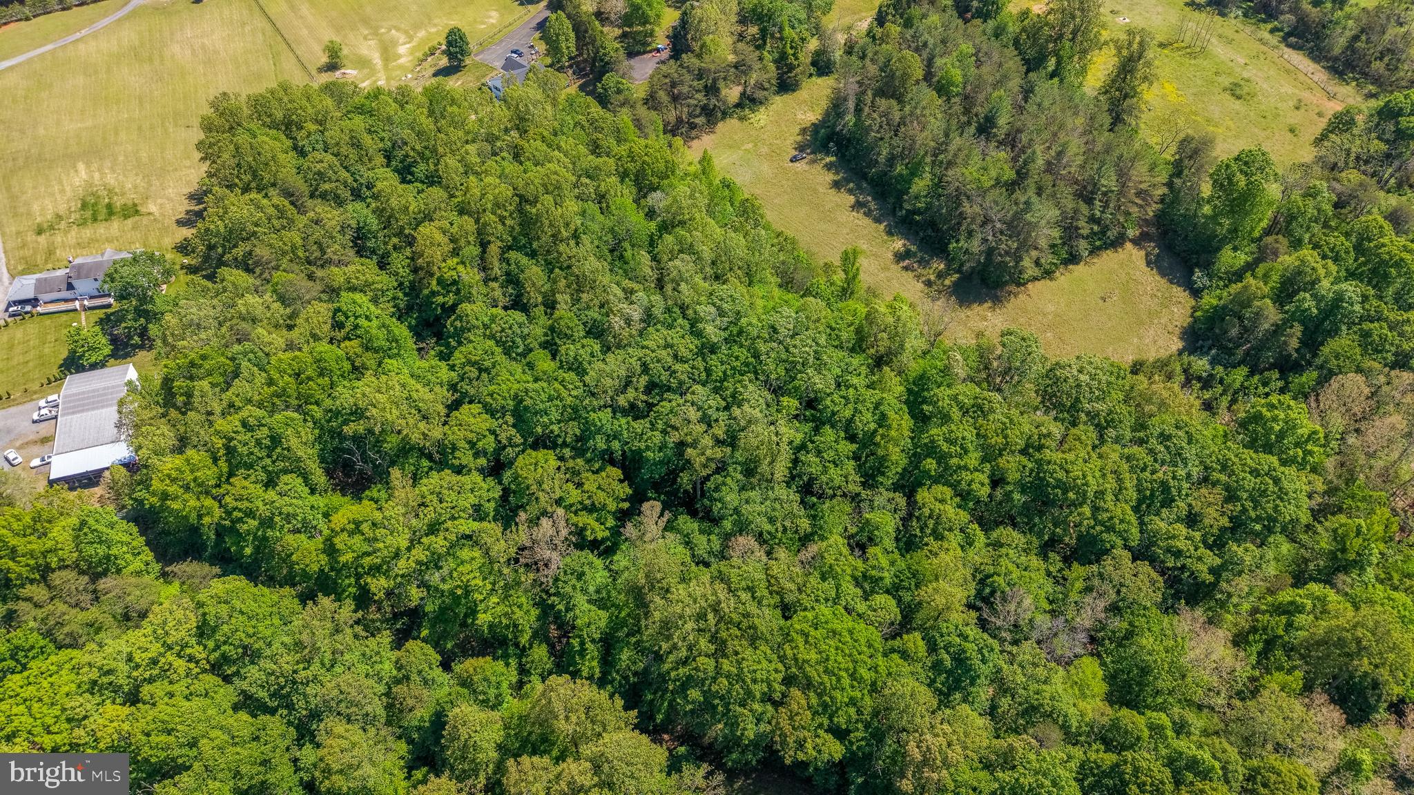 Kellogg Mill Road Fredericksburg, VA 22406 - Photo 8 of 13