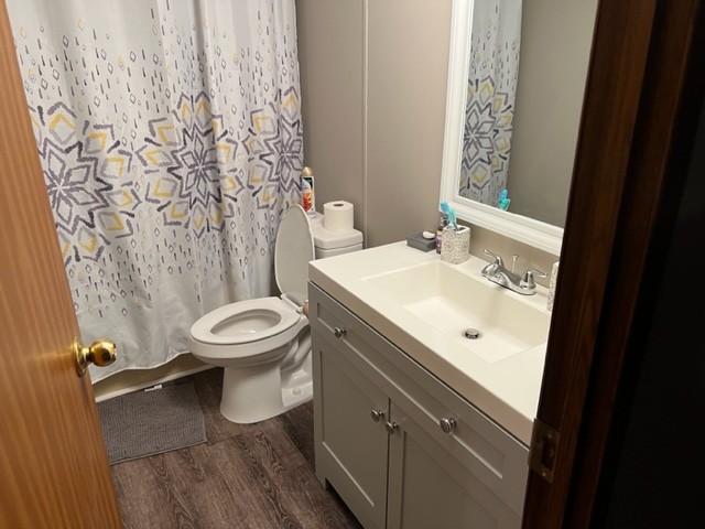 147 Philpot Road Ardmore, TN 38449 - Photo 16 of 21 a bathroom with a sink a toilet and a mirror