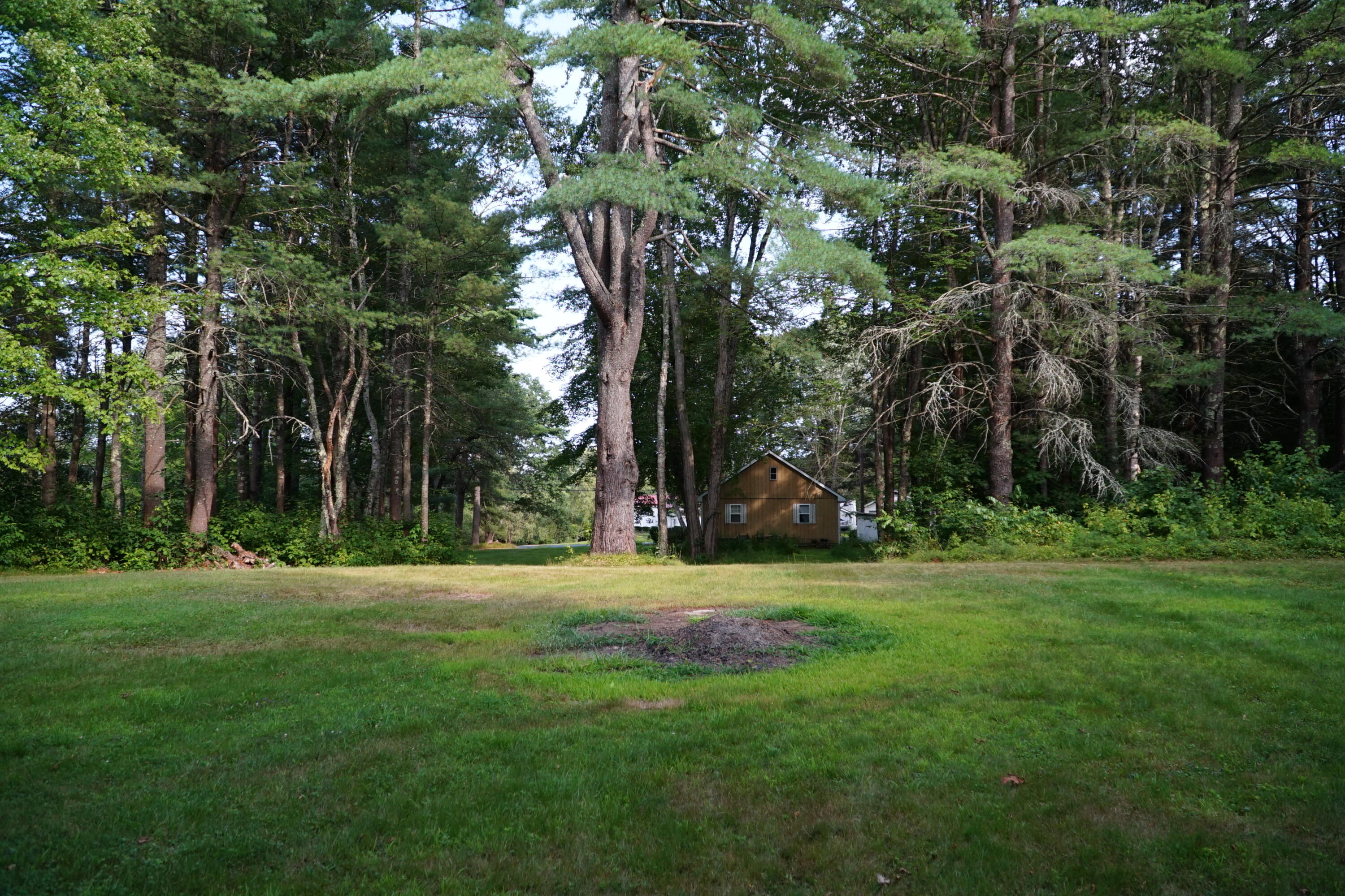 62 Storer Road Brunswick, ME 04011 - Photo 7 of 12 JGL09645