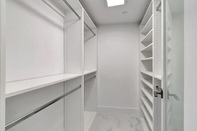 a view of a palm and yard with a palm tree