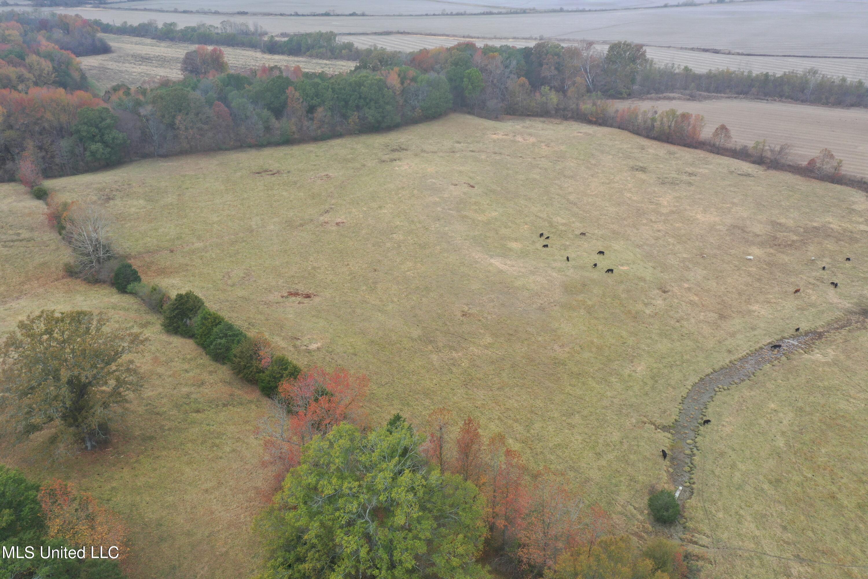 2131 Evansville Road Sarah, MS 38665 - Photo 1 of 40 DJI_0340