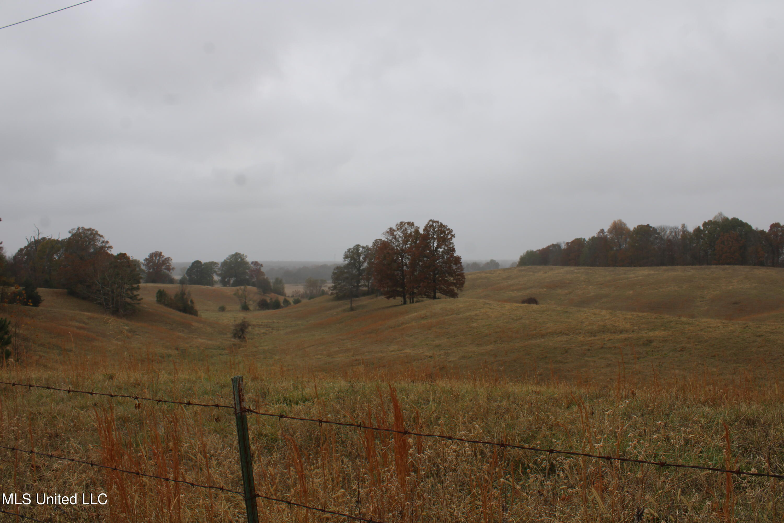 2131 Evansville Road Sarah, MS 38665 - Photo 11 of 40 IMG_2672