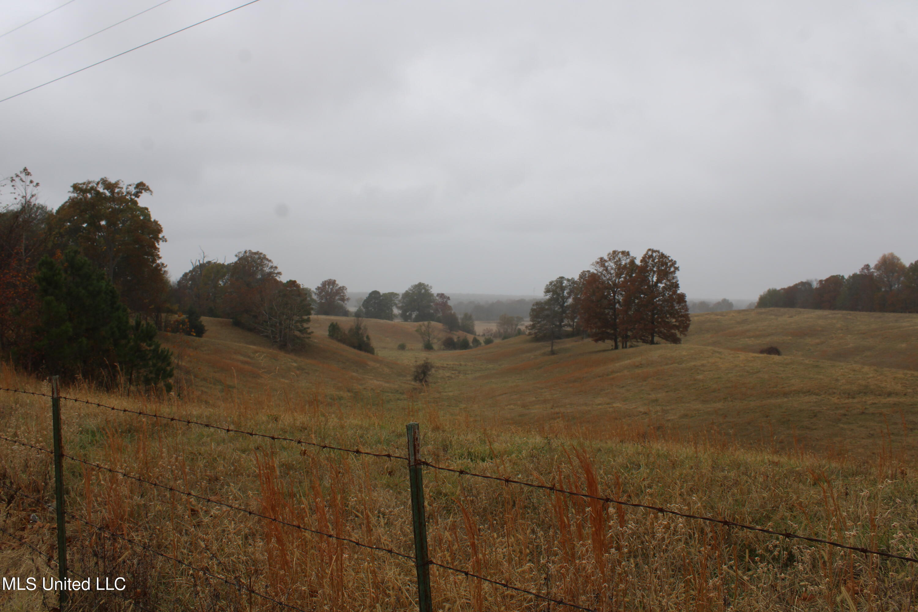 2131 Evansville Road Sarah, MS 38665 - Photo 13 of 40 IMG_2674