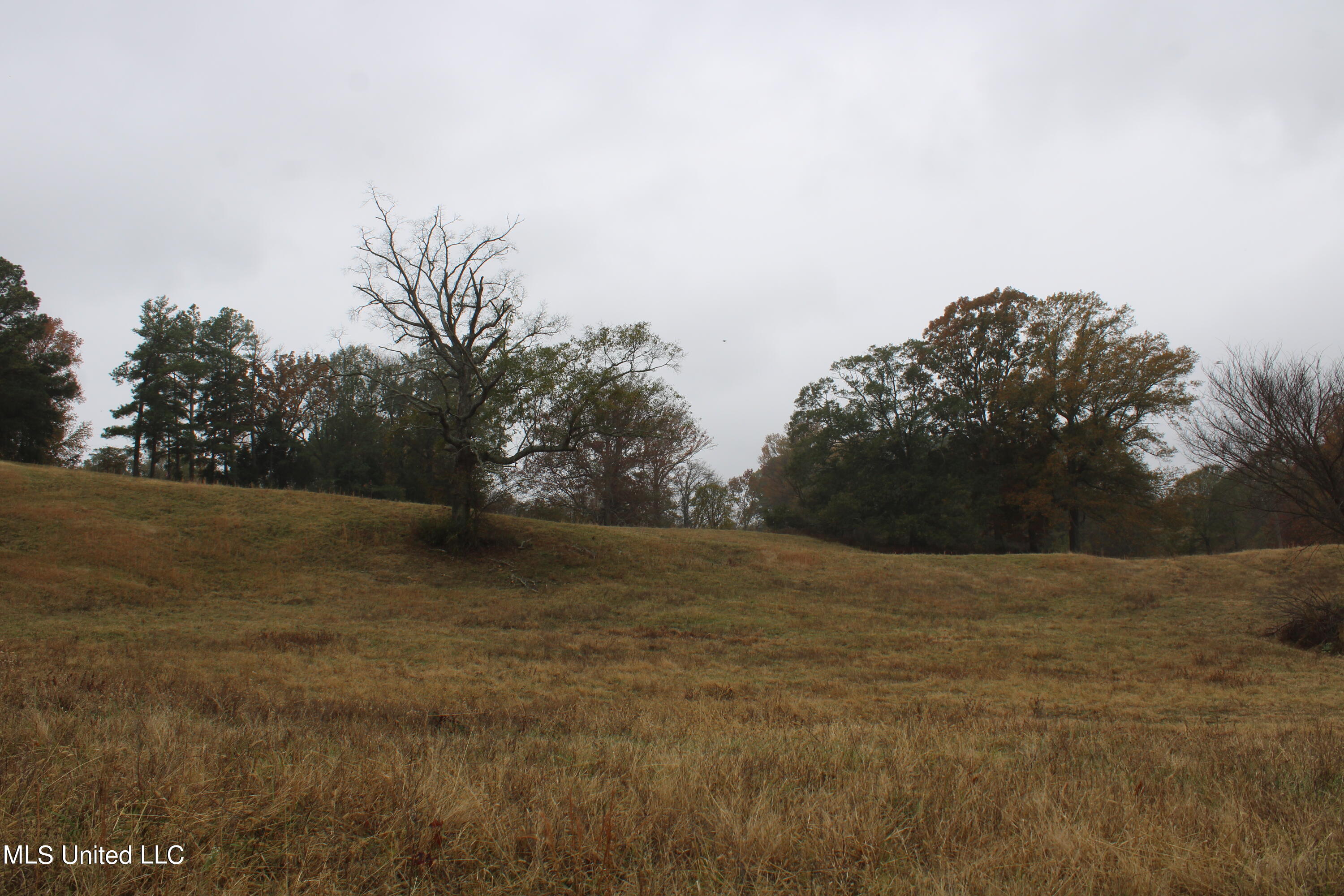 2131 Evansville Road Sarah, MS 38665 - Photo 15 of 40 IMG_2676