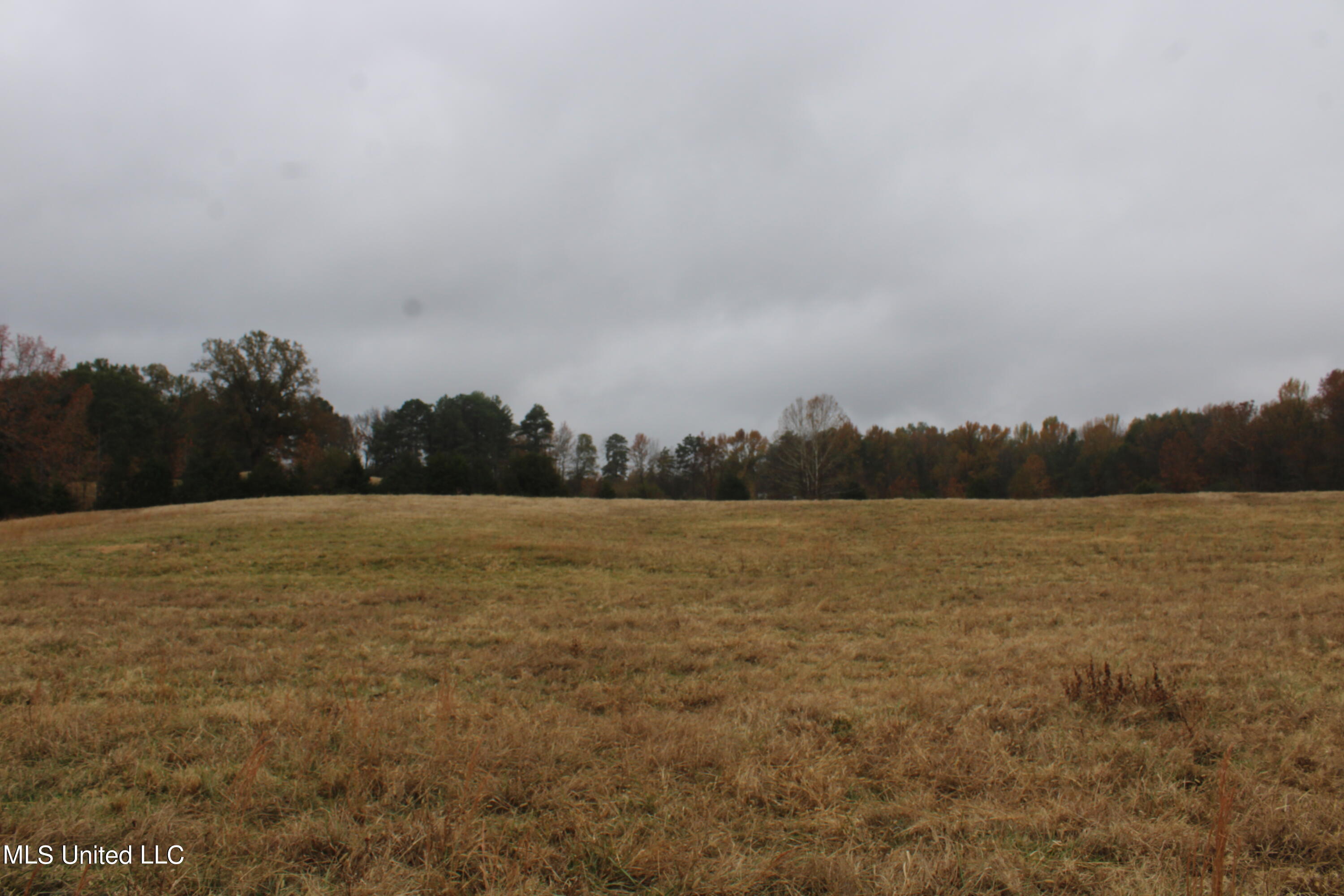 2131 Evansville Road Sarah, MS 38665 - Photo 26 of 40 IMG_2687