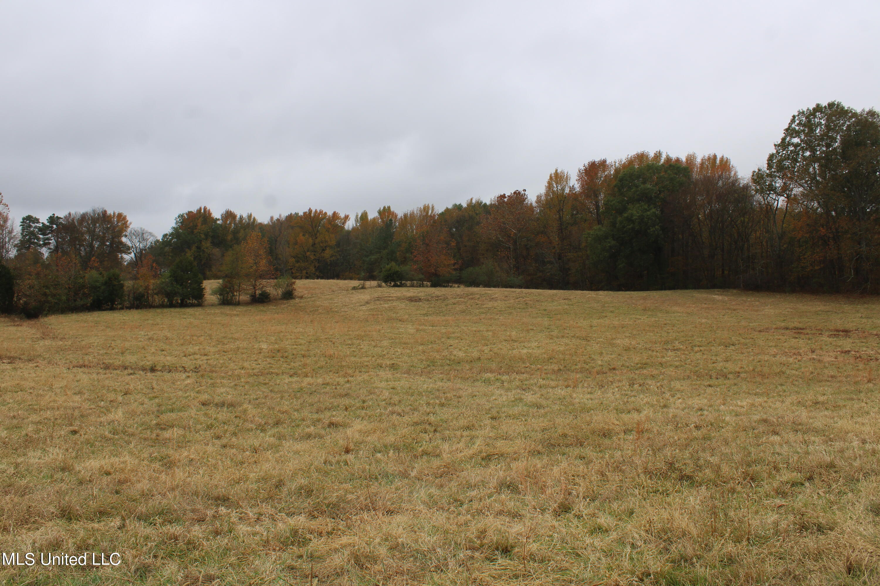 2131 Evansville Road Sarah, MS 38665 - Photo 27 of 40 IMG_2688